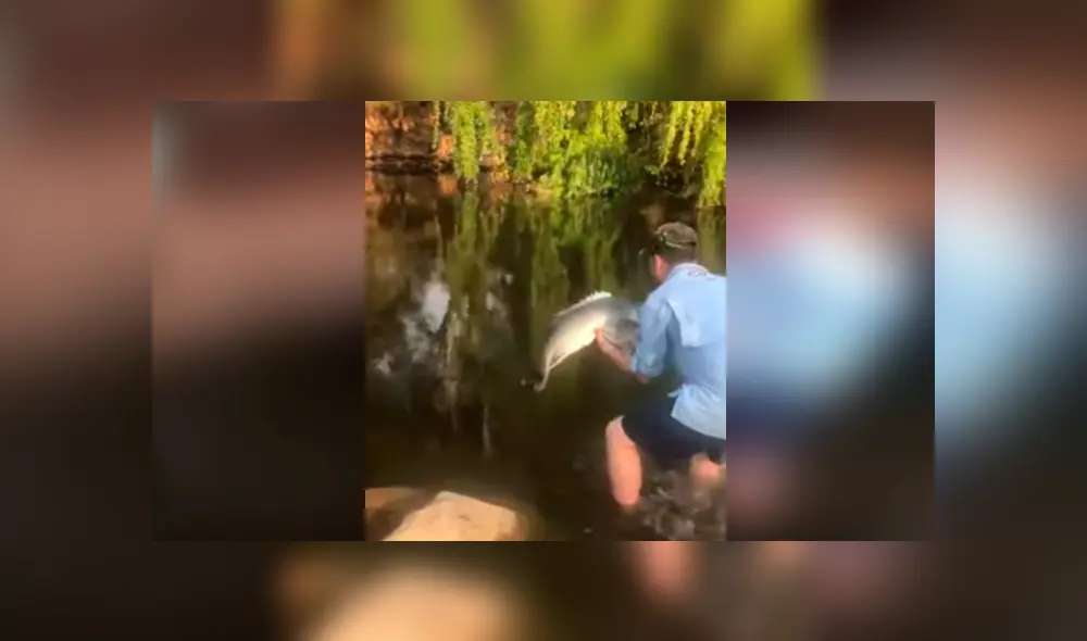 Desliza hacia la izquierda para ver el admirable gesto de un hombre al salvar la vida de un pez. Video de YouTube. Desliza hacia la izquierda para ver el admirable gesto de un hombre al salvar la vida de un pez. Video de YouTube.