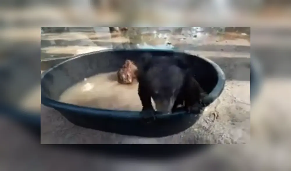 Desliza para ver los detalles del video viral publicado en YouTube. Foto: Captura. Desliza para ver los detalles del video viral publicado en YouTube. Foto: Captura.