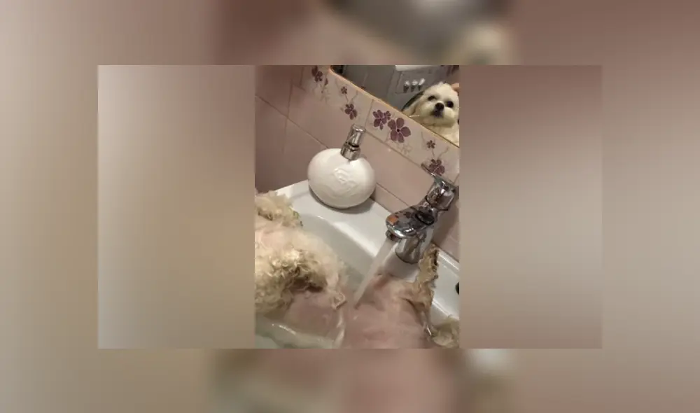 Desliza hacia la izquierda para ver las imágenes del viral de Facebook.