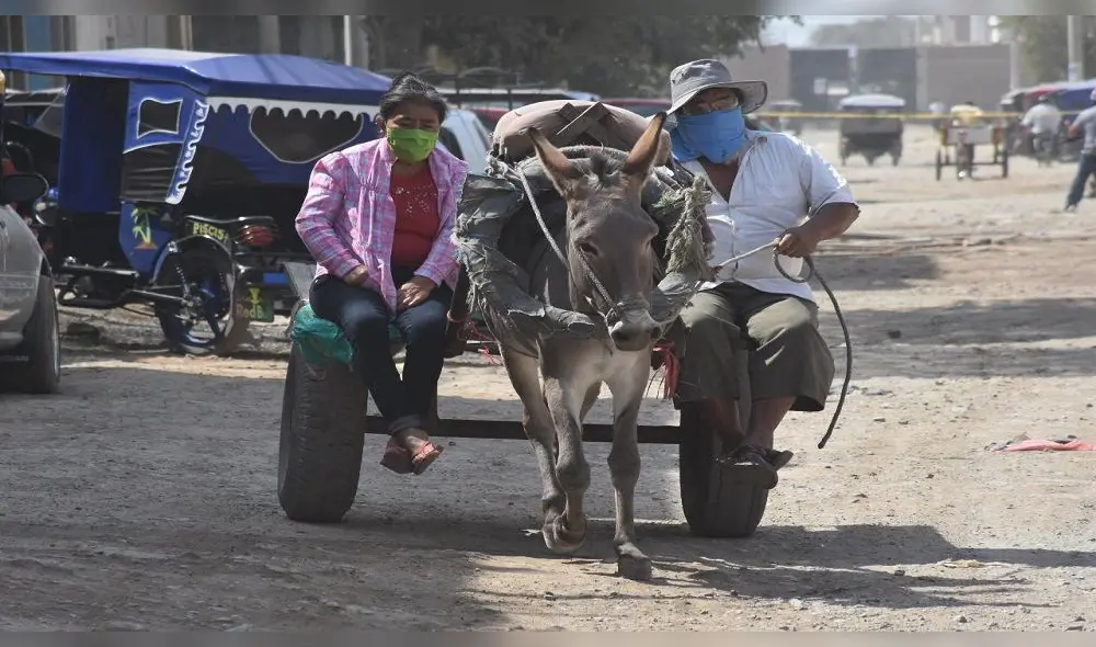 Una singular manera de movilizarse. Una singular manera de movilizarse.
