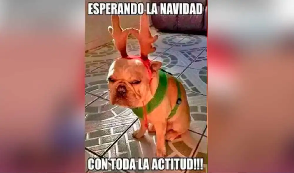 Desliza las imágenes para ver los memes navideños más divertidos que podrás encontrar en Facebook. Foto: captura de Facebook