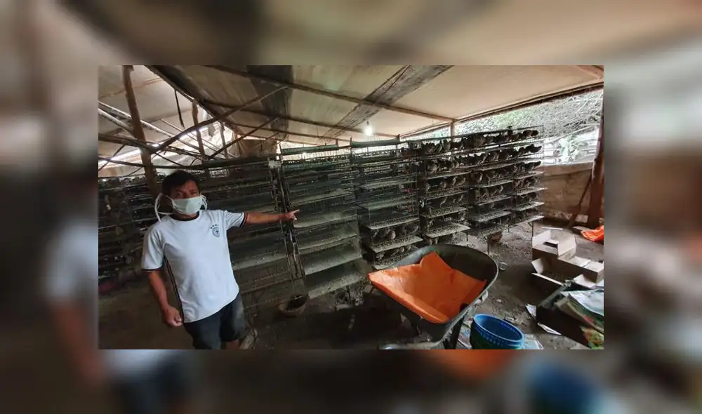 Gracias al apoyo de varias personas y de alcaldes, Richard Huaraca continuará con su negocio. (Foto: GLR - URPI) Gracias al apoyo de varias personas y de alcaldes, Richard Huaraca continuará con su negocio. (Foto: GLR - URPI)