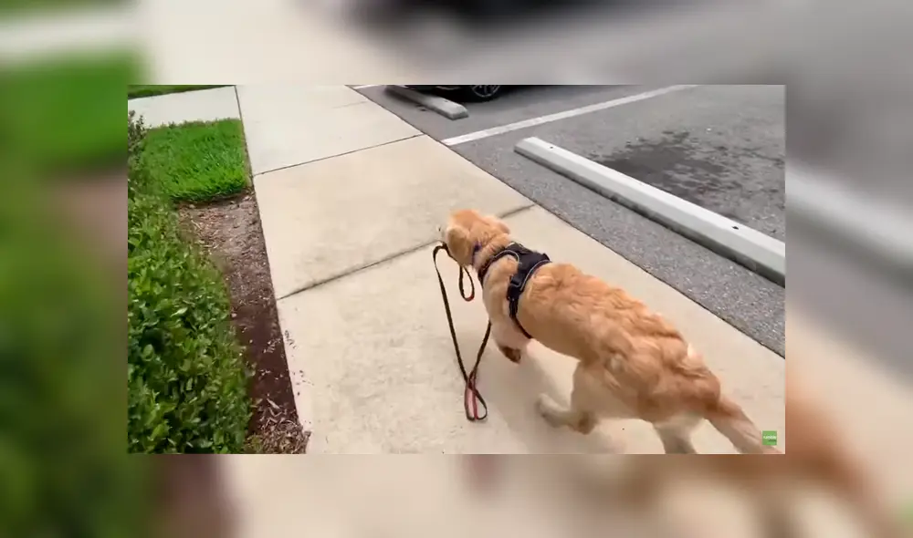 Desliza para ver los momentos más divertidos del video que se hizo viral en YouTube. Desliza para ver los momentos más divertidos del video que se hizo viral en YouTube.