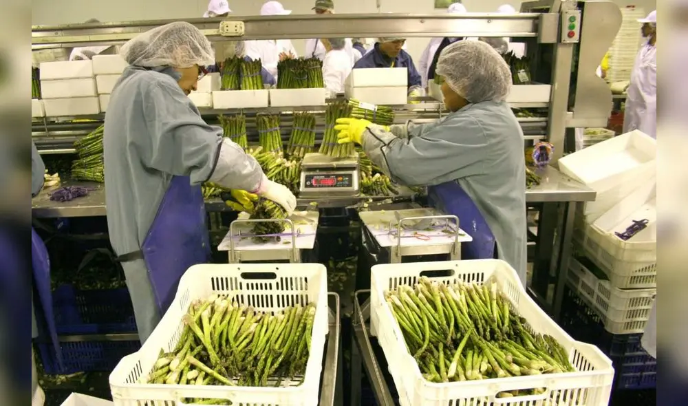 Reactivación económica en Trujillo agroexportación agroindustria