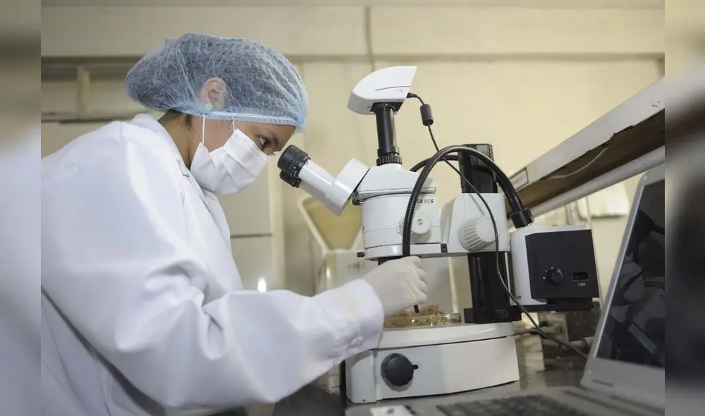 Según datos del Instituto de Estadística de la UNESCO, a nivel mundial únicamente el 29% de las personas dedicadas a la investigación y la ciencia son mujeres. Foto: Andina