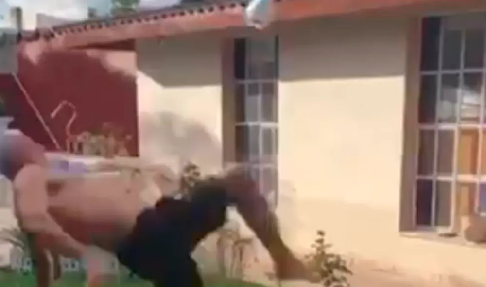 Vasco Aguirregaray fue parte del comando técnico de Pablo Bengoechea en Alianza Lima.