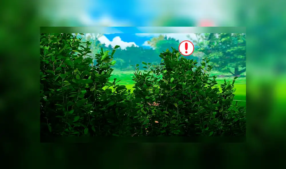 Pokémon GO: Las batallas entre entrenadores ya son una realidad y Niantic muestra cómo serán [FOTOS Y VIDEO]