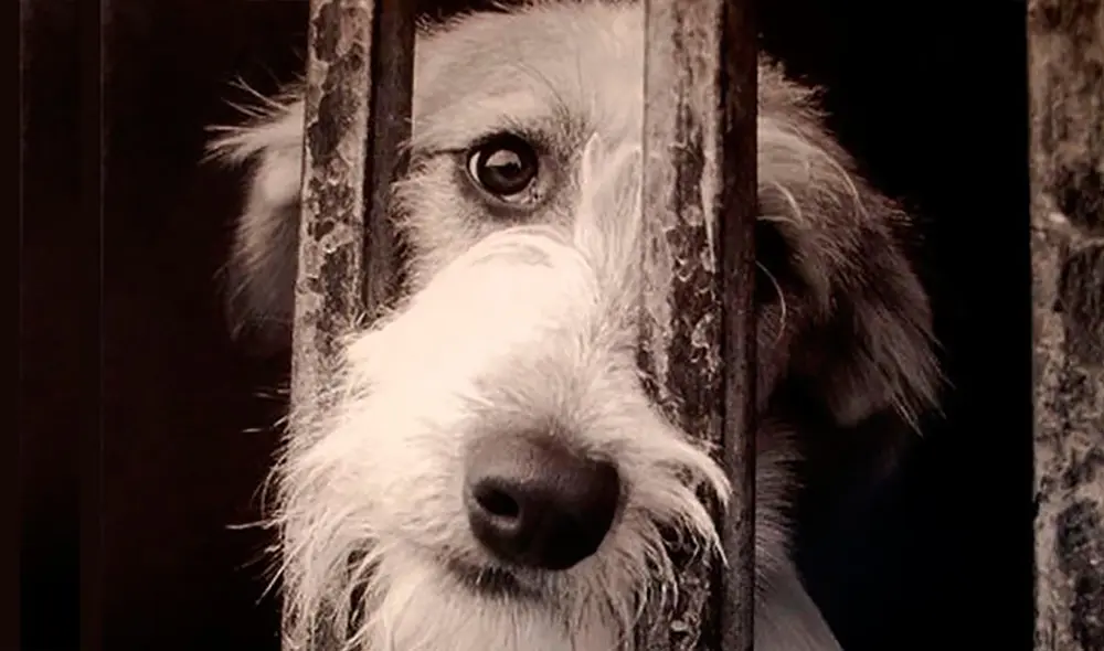 Foto: Archivo Foto: Archivo