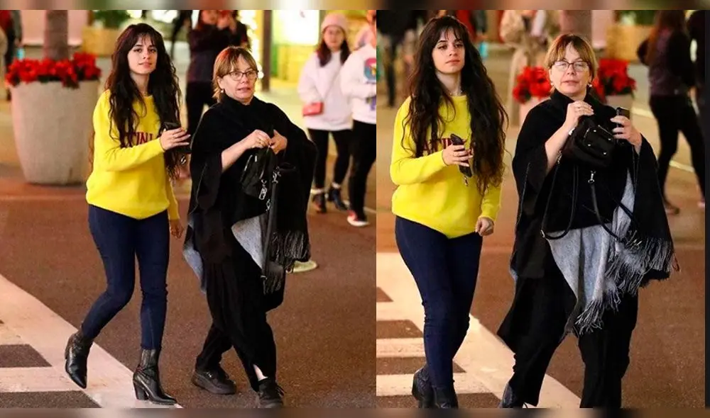 Shawn Mendes, Camila Cabello, Instagram Shawn Mendes, Camila Cabello, Instagram