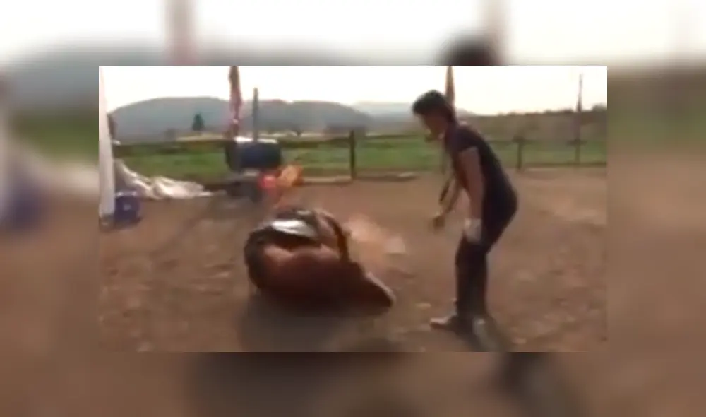 En Facebook, un caballo llamó la atención de sus cuidadores por su inusual comportamiento.