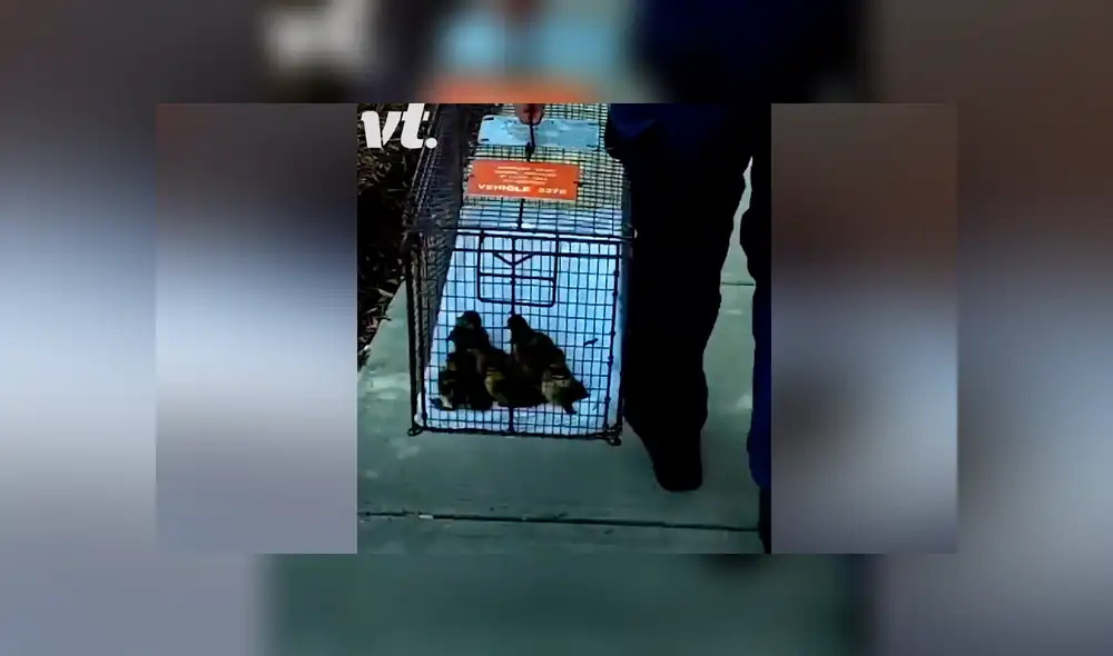 Desliza para ver los momento más impactantes del conmovedor video que se hizo viral en Facebook. Desliza para ver los momento más impactantes del conmovedor video que se hizo viral en Facebook.