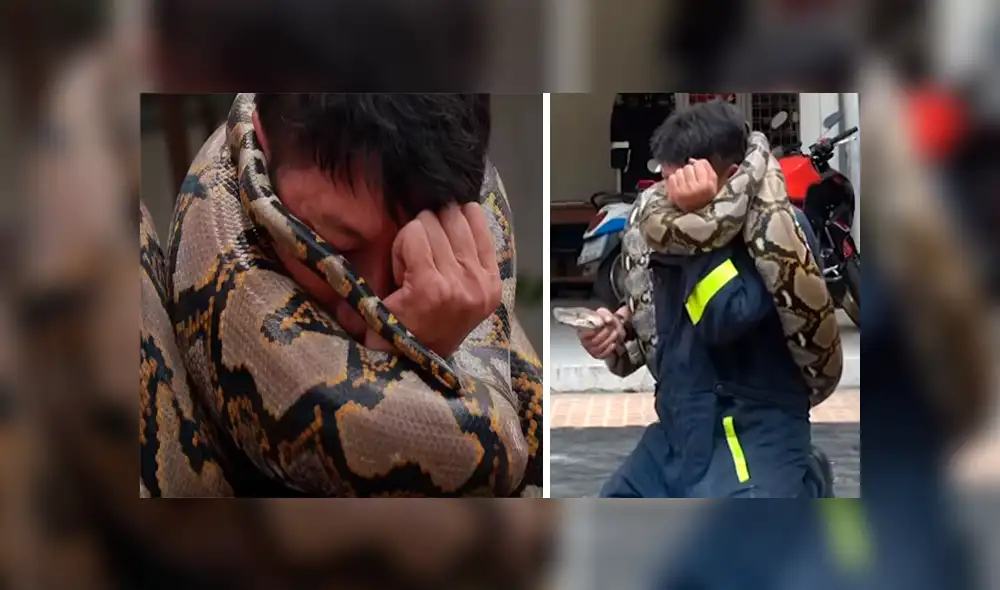 YouTube viral: Bombero es atacado por enorme pitón mientras hacía su show en vivo [VIDEO] 