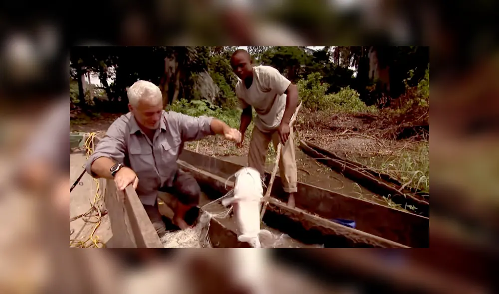 Si quieres ver el aspecto del misterioso pez que aparece en el video de YouTube, desliza cada imagen hacia la izquierda.