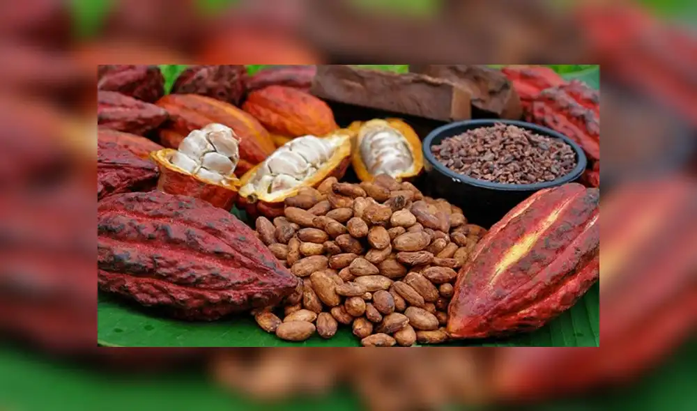 Cacao ayuda a combatir la depresión