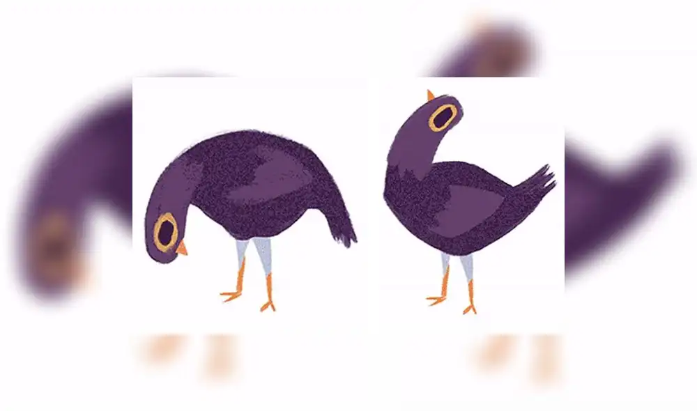 El origen de la paloma de Facebook que miles odian, pero millones la comparten