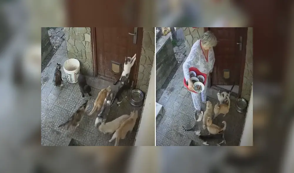 Desliza hacia la izquierda para ver las imágenes del viral de YouTube.