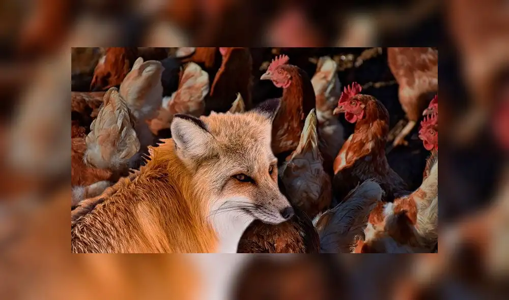 El hecho provocó la indignación de varios usuarios de Twitter.