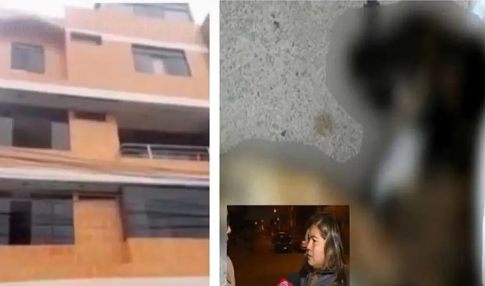 Foto: Proyecto Libertad