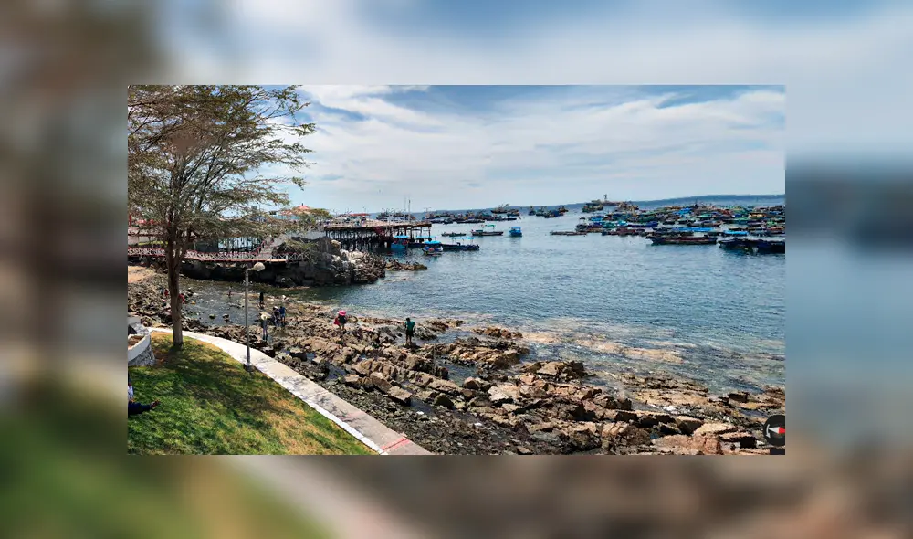 Google Maps: 'Extraña sirena' es hallada en orilla del mar de Moquegua y deja en impactado a miles [FOTOS]