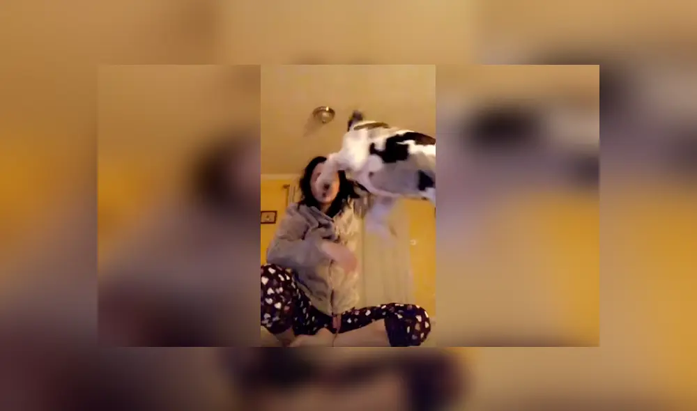 Desliza las imágenes para observar la terrible acción de un perro en plena trasmisión en vivo de su dueña.