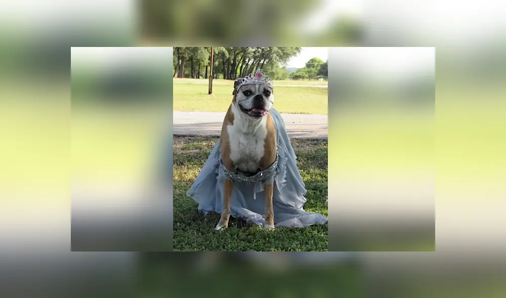 Desliza para ver los detalles de esta historia que se viralizó en Facebook. Foto: Captura. Desliza para ver los detalles de esta historia que se viralizó en Facebook. Foto: Captura.