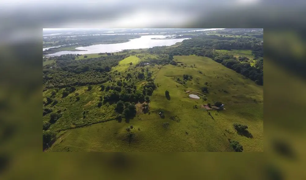 Descubren 27 nuevos centros ceremoniales mayas con un mapa en línea gratuito [FOTOS]