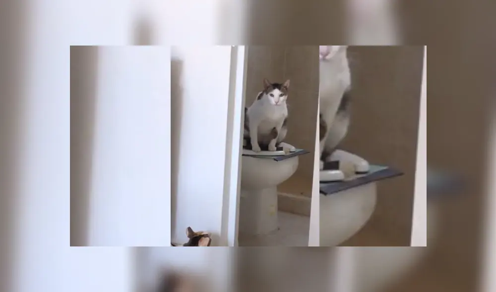 Desliza hacia la izquierda para ver más del video viral Desliza hacia la izquierda para ver más del video viral