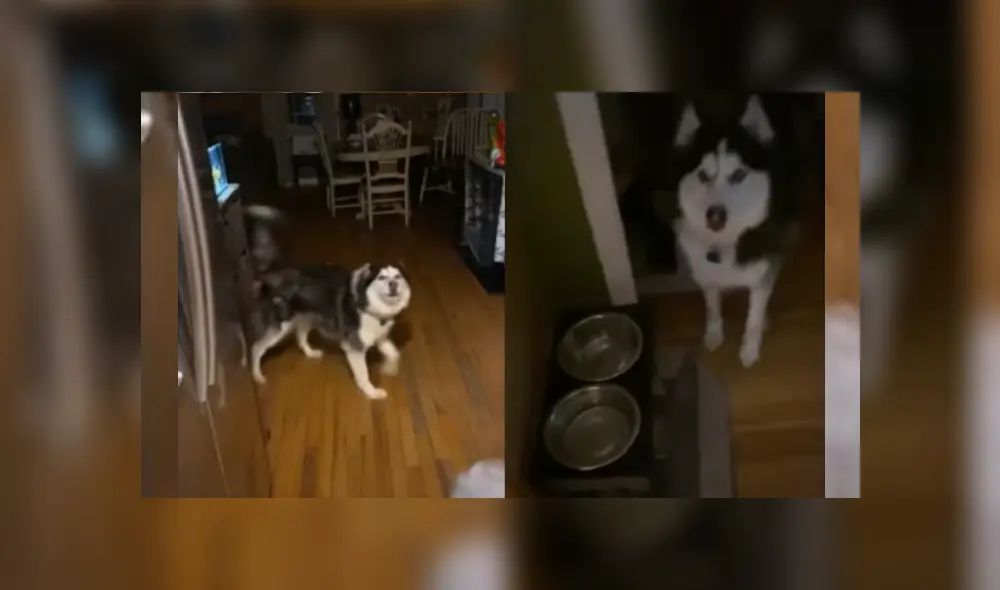 Desliza hacia la izquierda para ver más del video viral. Fotocaptura: YouTube Desliza hacia la izquierda para ver más del video viral. Fotocaptura: YouTube