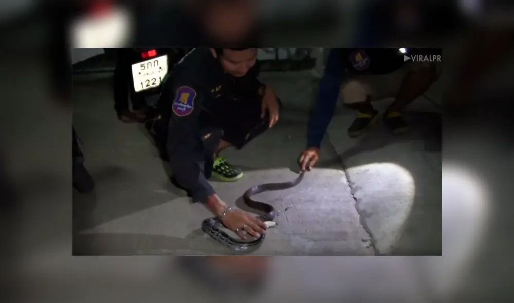 YouTube viral: joven limpia sus zapatos viejos y descubre peligrosa criatura en su interior [VIDEO]