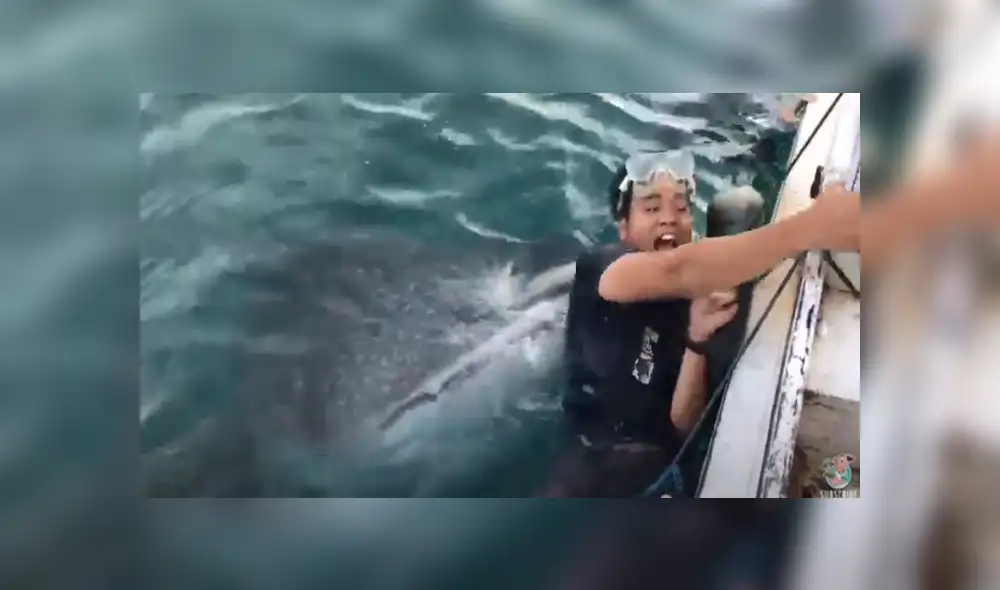 Desliza hacia la izquierda para ver las imágenes del viral de YouTube. Foto: Captura. Desliza hacia la izquierda para ver las imágenes del viral de YouTube. Foto: Captura.