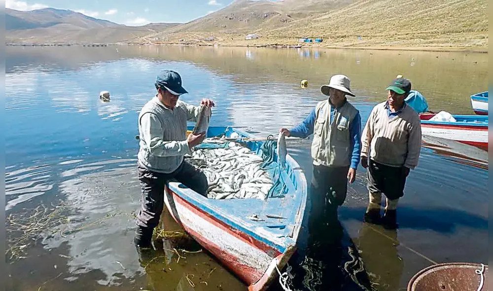 afectados. Productores perdieron truchas por desembalse. afectados. Productores perdieron truchas por desembalse.