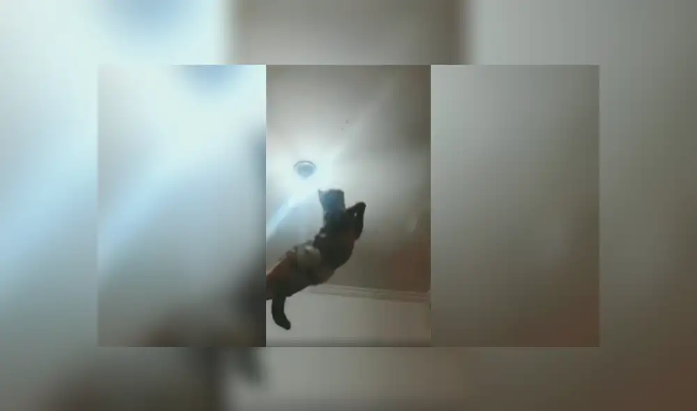 Desliza a la izquierda para conocer más sobre este nuevo viral de Facebook. Foto: Captura.