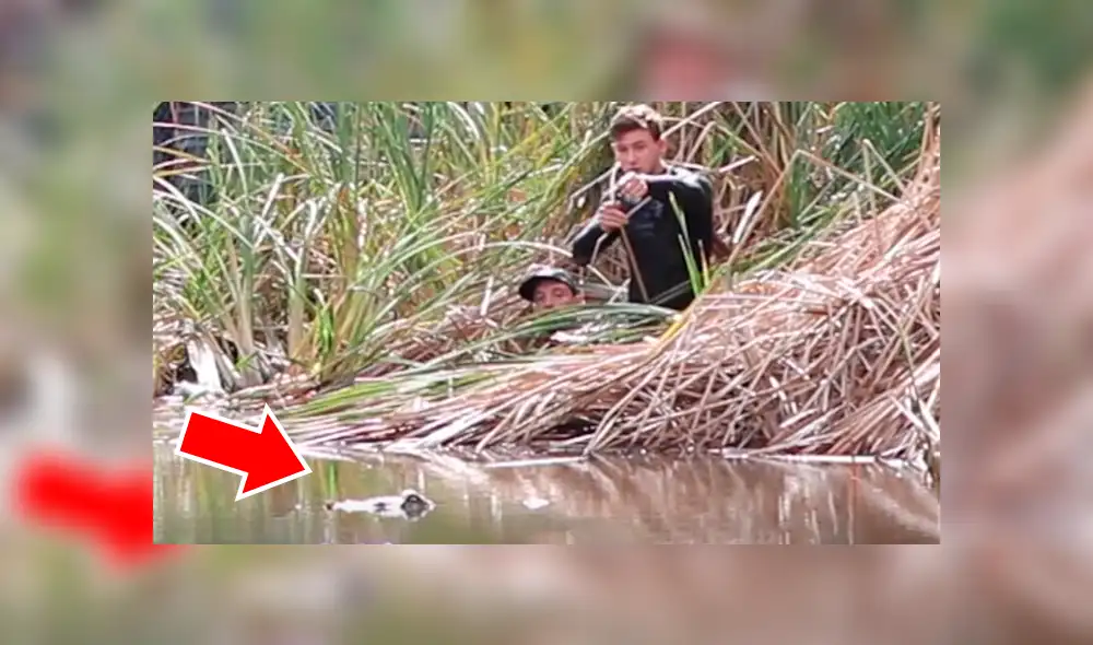 Dos jóvenes quedaron cara a cara con un enorme cocodrilo.