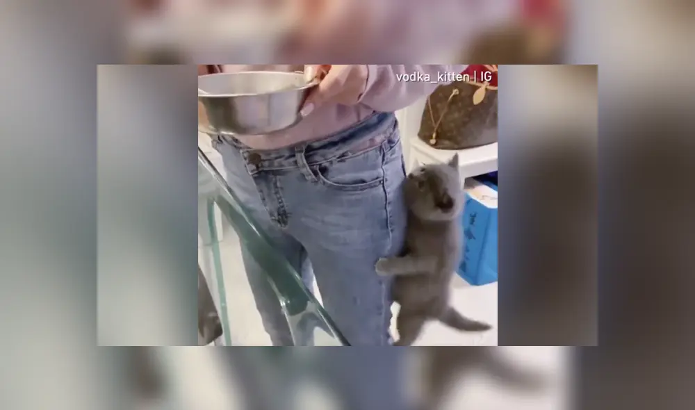 Desliza a la izquierda para ver más sobre este nuevo video viral de YouTube. Foto: Captura. Desliza a la izquierda para ver más sobre este nuevo video viral de YouTube. Foto: Captura.