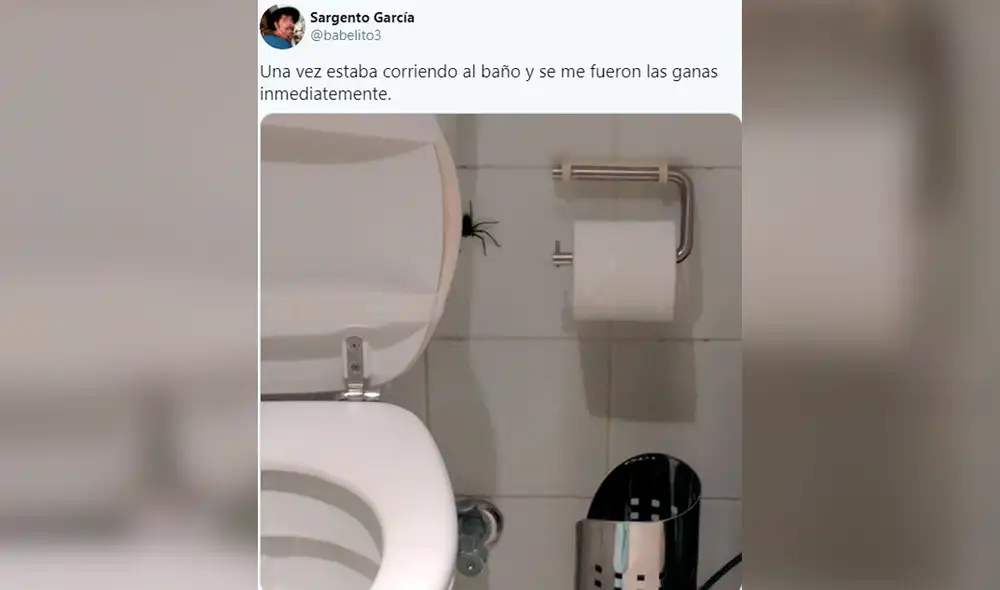 La publicación motivó a otros usuarios a compartir los animales que habían encontrado en sus baños. Foto: @babelito3/ Twitter La publicación motivó a otros usuarios a compartir los animales que habían encontrado en sus baños. Foto: @babelito3/ Twitter