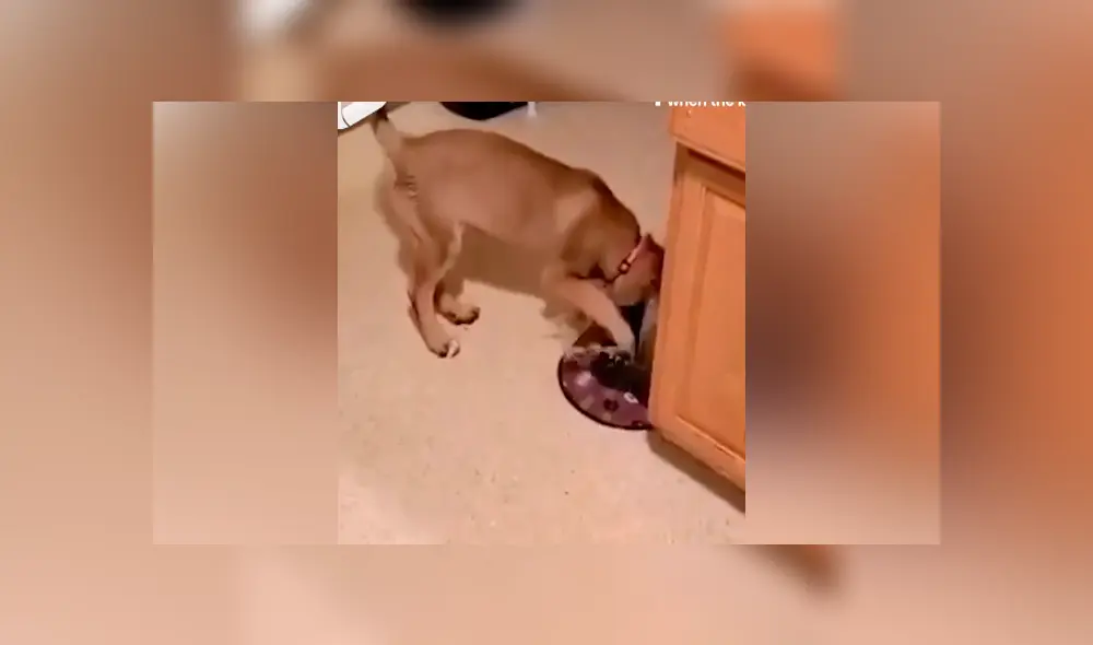 Desliza para ver los momentos más divertidos del video que se hizo viral en Facebook.