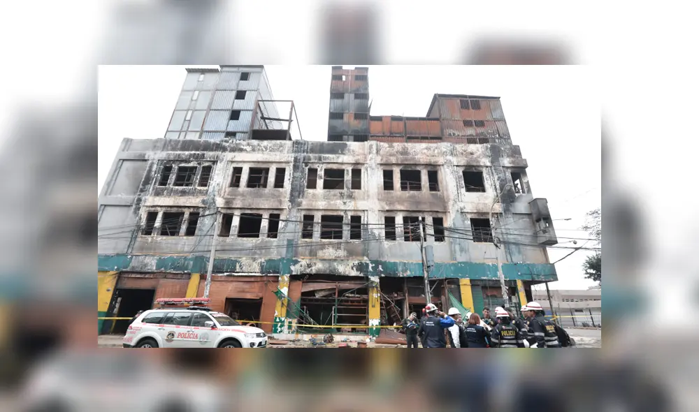 Galería Nicolini Galería Nicolini