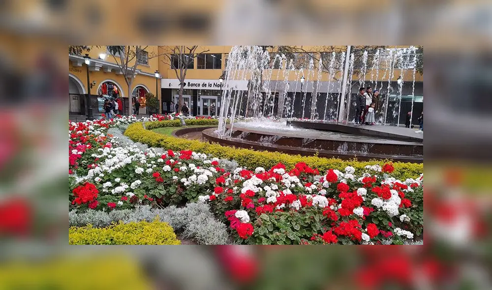 Probando la cámara del Motorola One Vision. Probando la cámara del Motorola One Vision.