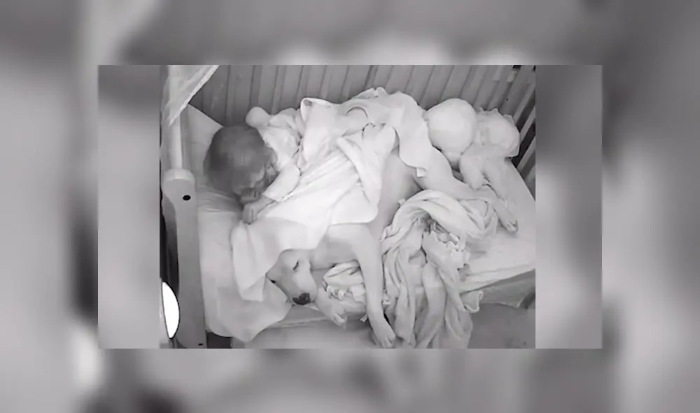 YouTube viral: coloca cámara de seguridad y descubierto tierno gesto que tuvo su bebé con su perro