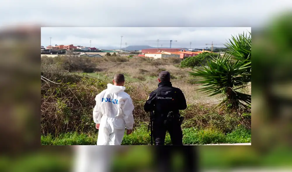 Lo acuchillan en descampado y termina siendo devorado por perros salvajes [VIDEO] 