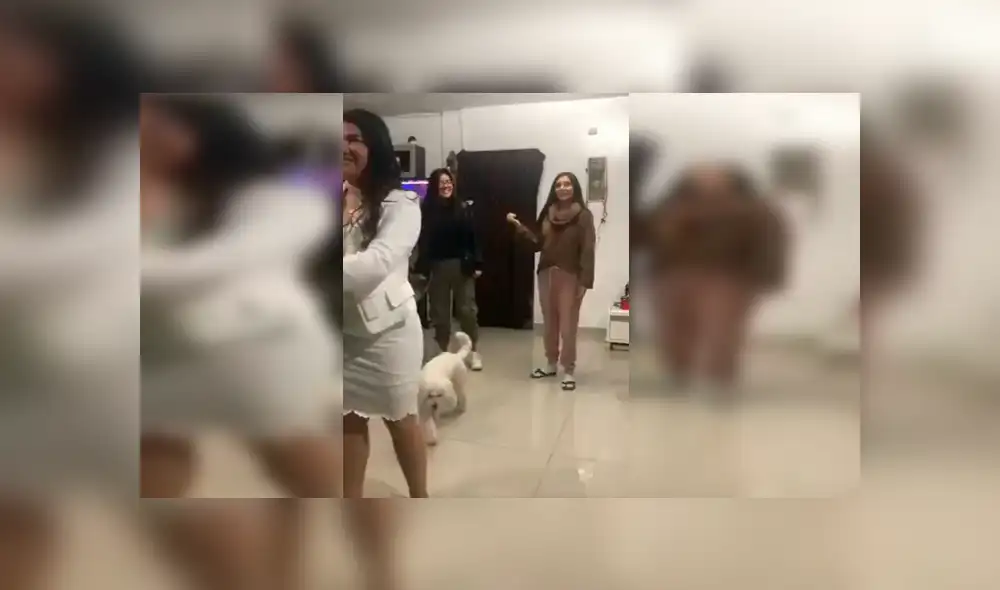 Jóvenes querían retratar uno de los momentos más representativos de una boda, sin imaginar que el travieso can malograría su práctica Jóvenes querían retratar uno de los momentos más representativos de una boda, sin imaginar que el travieso can malograría su práctica