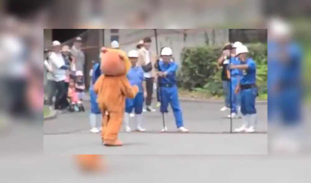Trabajador de un zoológico ingresó al santuario de leones. Trabajador de un zoológico ingresó al santuario de leones.