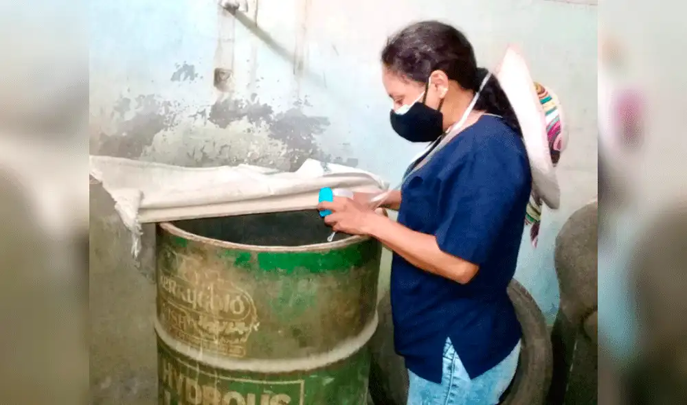 Son más de 140 técnicos en enfermería que realizan visitas a las viviendas para detectar el zancudo Aedes aegypti. Foto: Gerencia Regional de Salud de Lambayeque