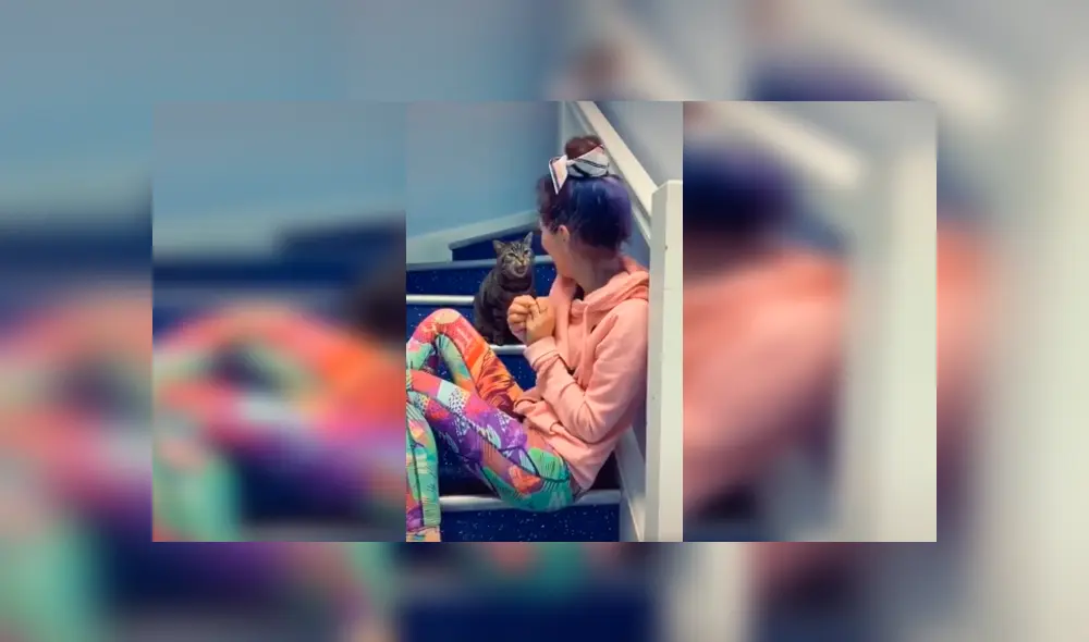 Desliza las imágenes para conocer el comportamiento de un gato para impedir que su dueña siga cantando.