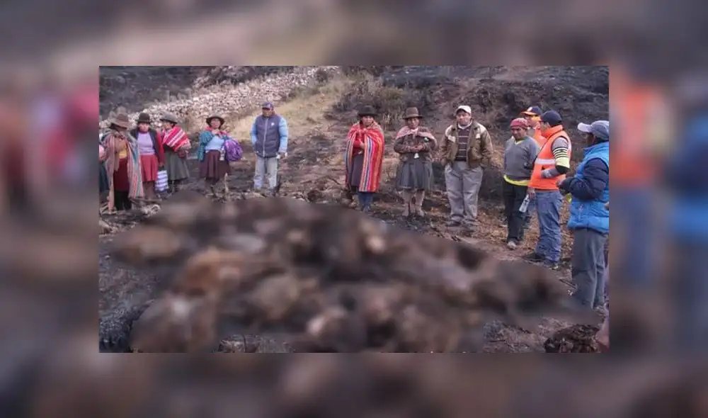 Incendio acabó con la vida de dos centenares de ovejas en Cusco