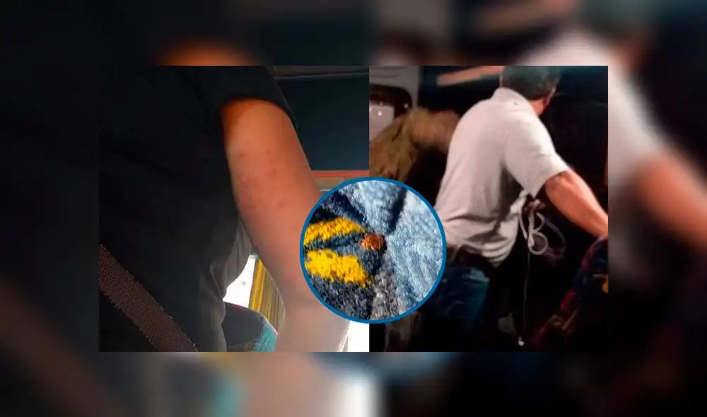 Créditos: La Industria. Créditos: La Industria.