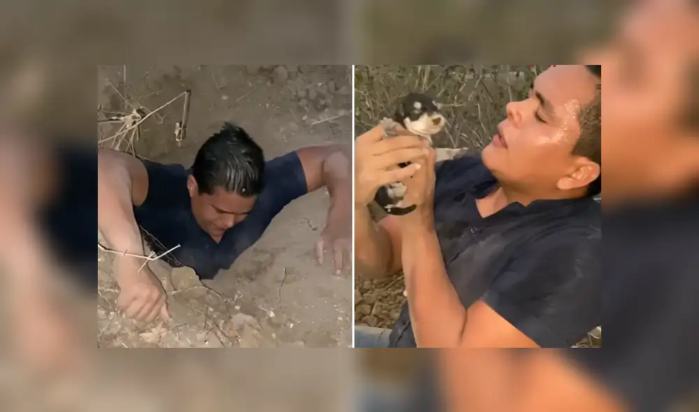 Un joven rescató a unos cachorros que estaban enterrados varios metros. Foto: Facebook