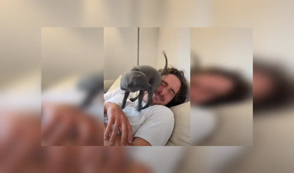 Desliza para ver más detalles sobre esta escena que se ha robado el corazón de miles en YouTube.