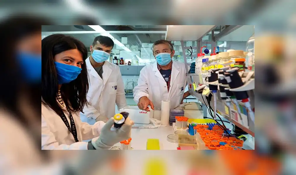 Unos investigadores buscan una vacuna contra el coronavirus SARS-CoV-2. Foto: EFE Unos investigadores buscan una vacuna contra el coronavirus SARS-CoV-2. Foto: EFE