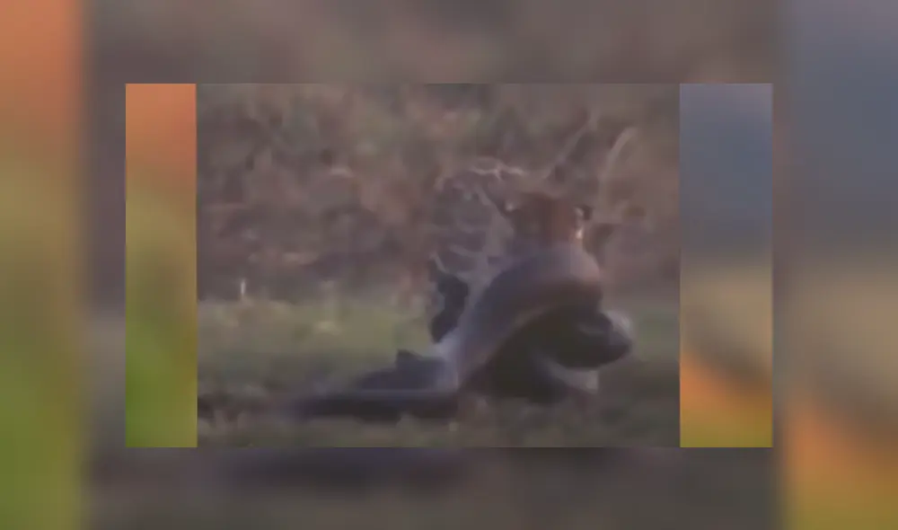 Desliza hacia la izquierda para ver las imágenes del viral de Facebook.